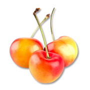 Three cherries with stems on a white background