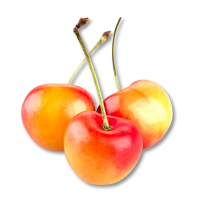 Three cherries with stems on a white background