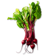Bunch of red beets with green leaves on a white background