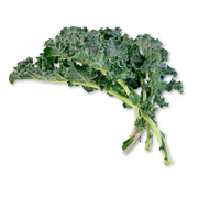 Bunch of green kale leaves on a white background