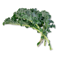 Bunch of green kale leaves on a white background