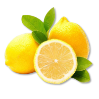 Three lemons with one sliced open on a white background