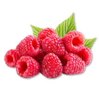 Red raspberries with green leaves on a white background