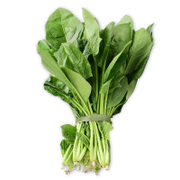 Bunch of fresh green spinach leaves on a white background