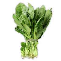 Bunch of fresh green spinach leaves on a white background