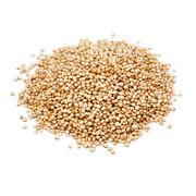 Pile of quinoa grains on a white background