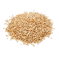 Pile of quinoa grains on a white background