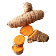 Turmeric root with slices on a white background