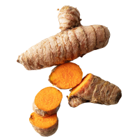 Turmeric root with slices on a white background