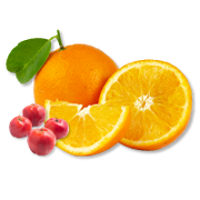Oranges with slices and small red fruits on a white background