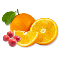 Oranges with slices and small red fruits on a white background
