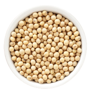 White bowl filled with soybeans on a white background