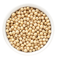 White bowl filled with soybeans on a white background
